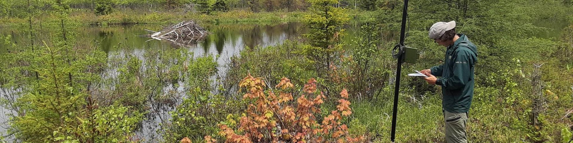 Un employé de Parcs Canada travaille avec de l'équipement audio sur le terrain.