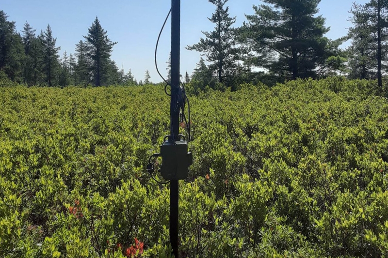 Audio recording equipment installed in the park