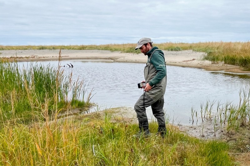 Un technicien des ressources sur l'une des parcelles d'ensemencement réussies du parc.