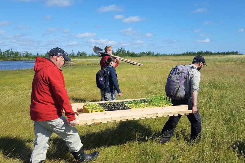 Le personnel de la conservation des ressources transporte la plantation vers une parcelle.