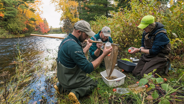 Des agents de conservation font des tests près d'une rivière.