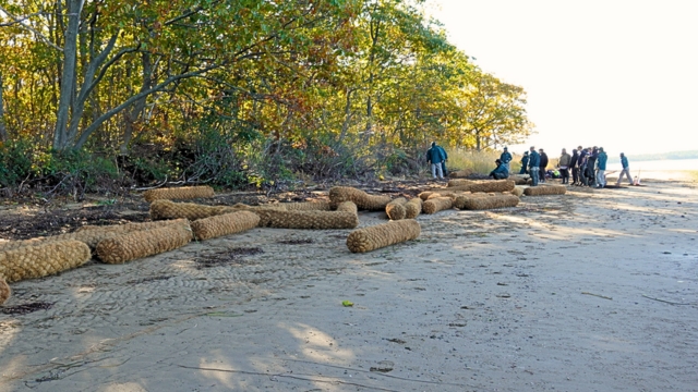 A group of workers on the coast