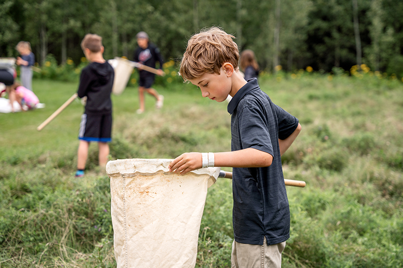 A young visitor catching bugs with a net in a field.