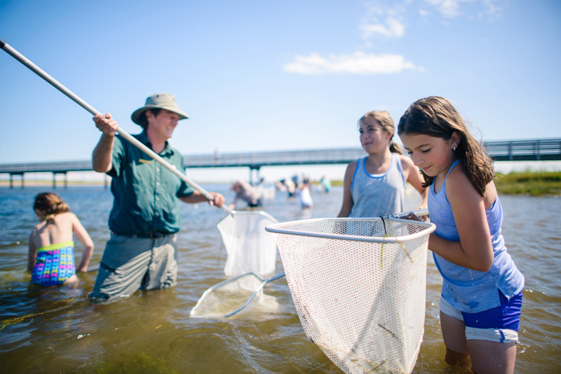 Children searching for critters and holding nets in the lagoon with a Parks Canada interpreter.