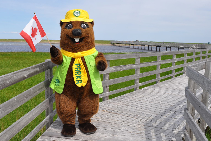 Parka, the Parks Canada mascot, holding a Canadian flag at Kellys Beach