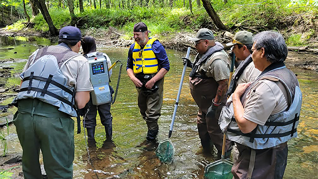 Des agents de conservation debout dans une rivière en forêt