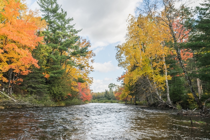 A river flows under a canopy of fall foliage