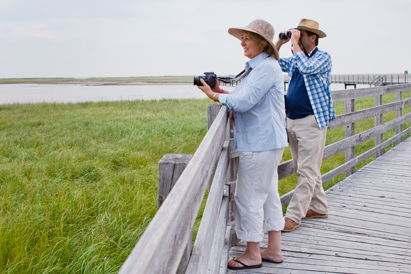 A couple is birdwatching on the boardwalk at Kellys Beach