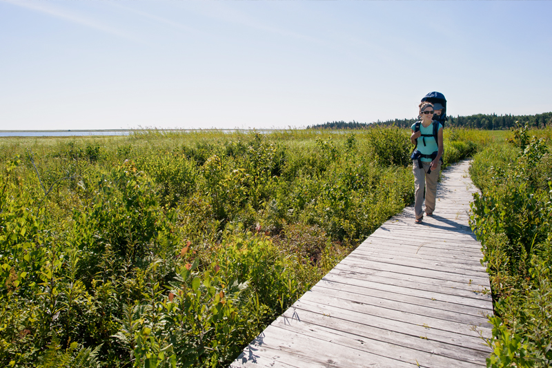 A woman walks with her child in a carrier on a boardwalk in an estuary