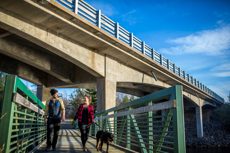 A couple walking with their dog on a pedestrian bridge underneath a highway overpass