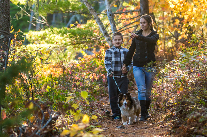 Visitors walking their dog on a trail