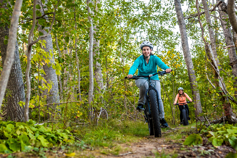 Cyclists on a mountain biking trail in the forest