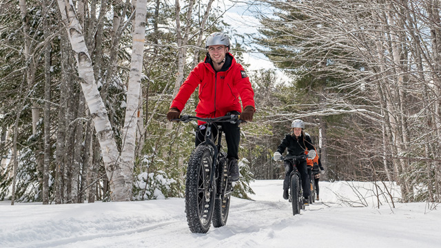 Des cyclistes en forêt, en hiver.