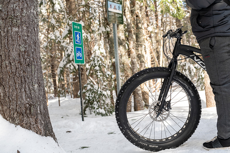 a closeup of a fat bike on snow