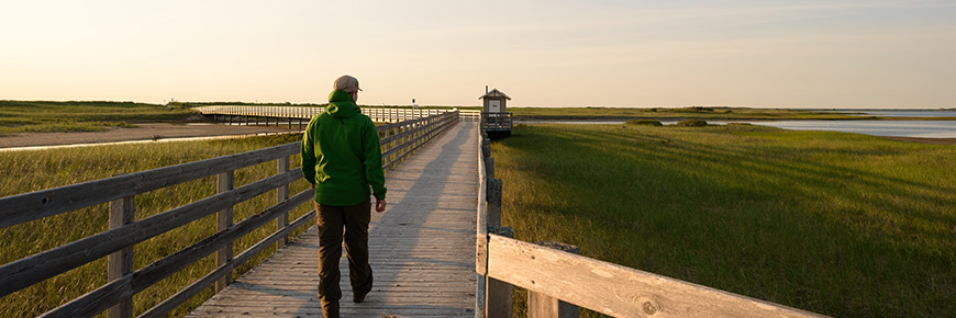 A person walking on the Kellys beach boardwalk