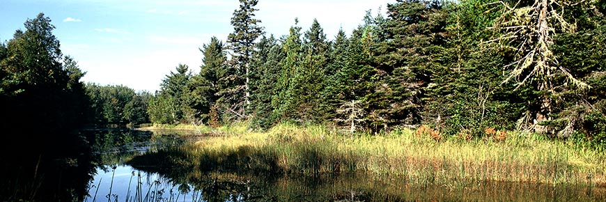 Sentier Claire-Fontaine