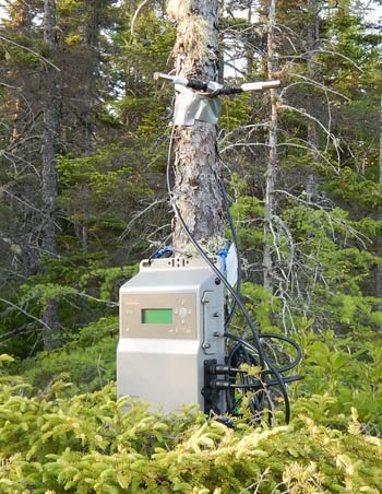 A piece of equipment attached to a tree