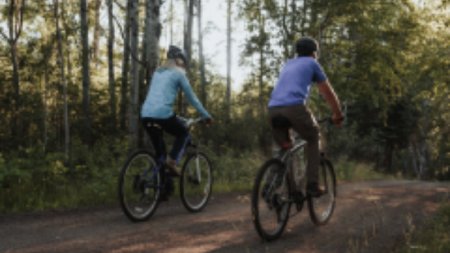 BIkes on trail