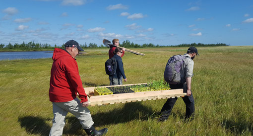 Un groupe de personne marchand sur le bord d'un rivage de mer