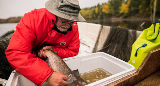 A man holding a salmon