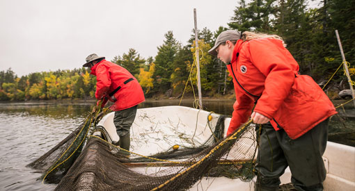 The team operating a net