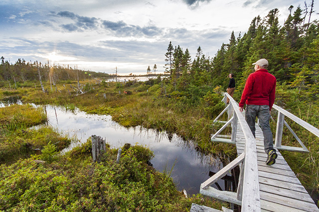 Two people walking on the boardwalk in Berry Hill Pond trail in Gros Morne National Park