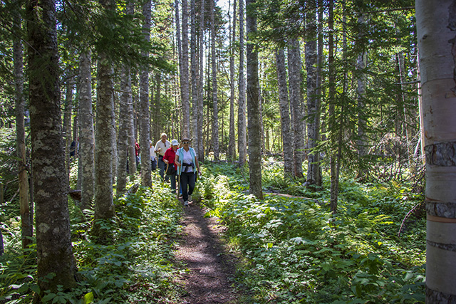 People hiking along the Lomond river trail in Gros Morne National Park