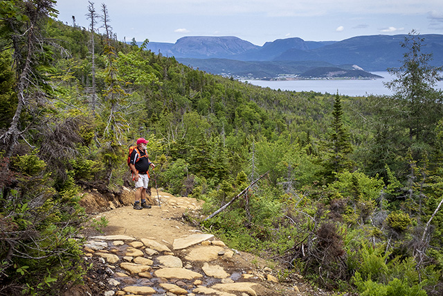 A hiker enjoys the view on the Lookout Trail in Gros Morne National Park