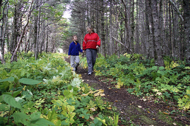 People walking along the Old Mail Road Trail in Gros Morne National Park