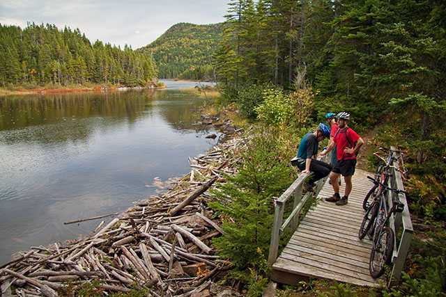 Three people taking a break from riding bicycles on a trail at Stuckless Pond in Gros Morne National Park. 