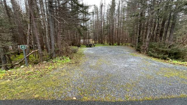 A flat graveled campsite surrounded by trees with a picnic table and fireplace.