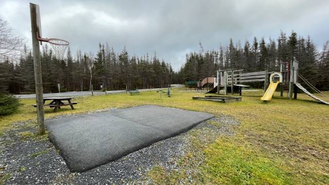 A grassy playground with a basketball hoop, a wooden play structure, and picnic table