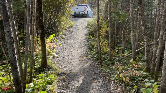 A gravel path going up hill through the forest.