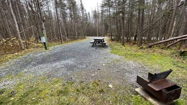 A flat graveled campsite surrounded by trees with a picnic table and fireplace.
