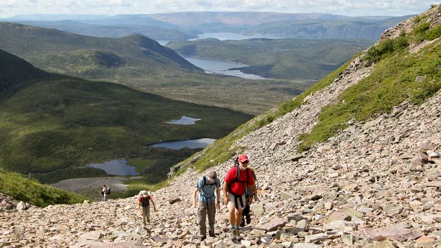 snowmobile tours gros morne