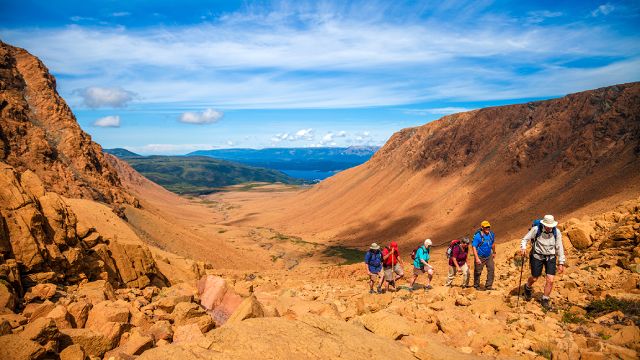 tours of gros morne national park