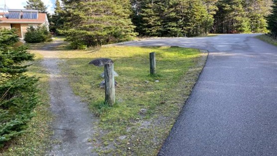 A gravel path leading to a wooden building.