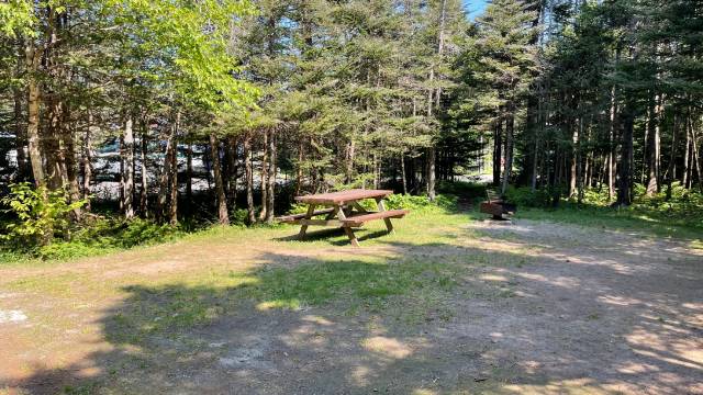 A flat grassy campsite surrounded by trees with a picnic table.