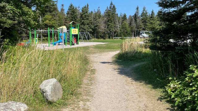 A wide dirt pat leading to a playground and forest.