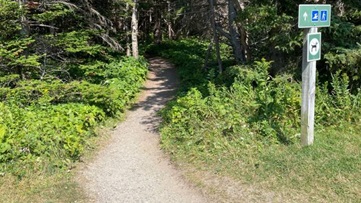 A gravel path leading into a forest. class=