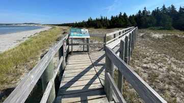 A wooden walkway by a beach.