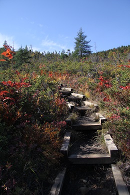 stairs on trails