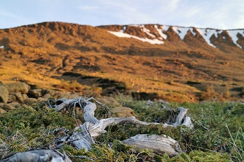 Tablelands Gros Morne National Park