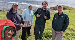 five people standing on a grassy coastline