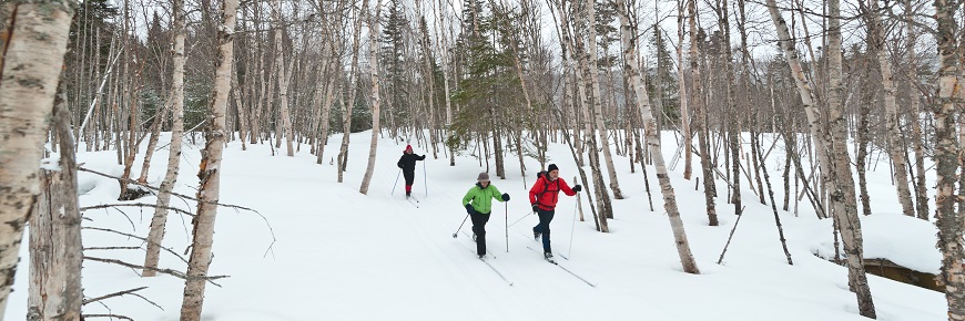 Les gens font du ski de fond dans le parc national de gros morne