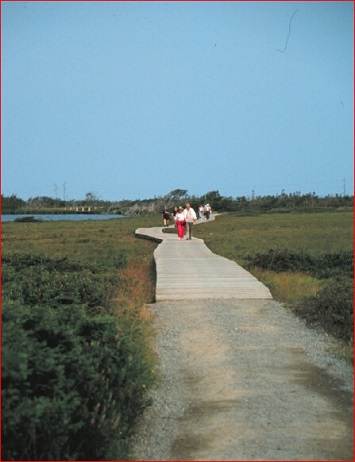 The boardwalk leading to Western Brook Pond installed in the 1990's