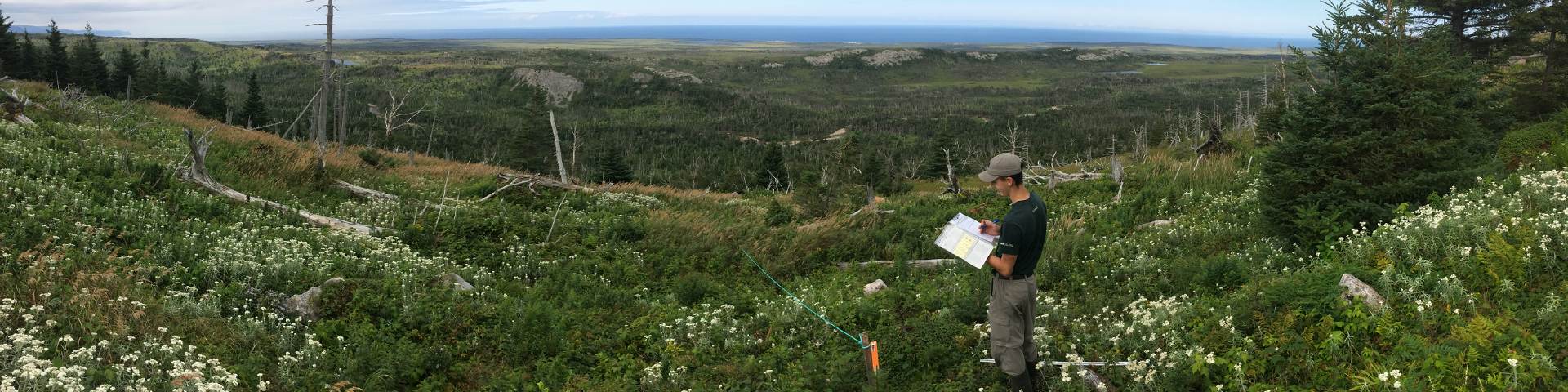 Écologiste de Parcs Canada prenant des notes dans un pré forestière.