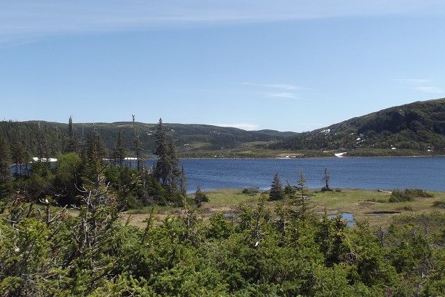 Une zone peu boisée avec des taches de conifères et d'arbustes près d'un lac de montagne.