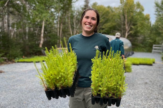 A Parks Canada employee stands with two trays of tree seedlings that will be planted in the park.