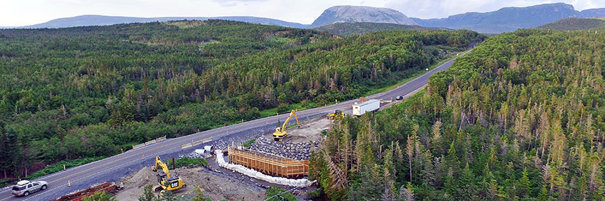 Bridge replacement at Bottom Brook